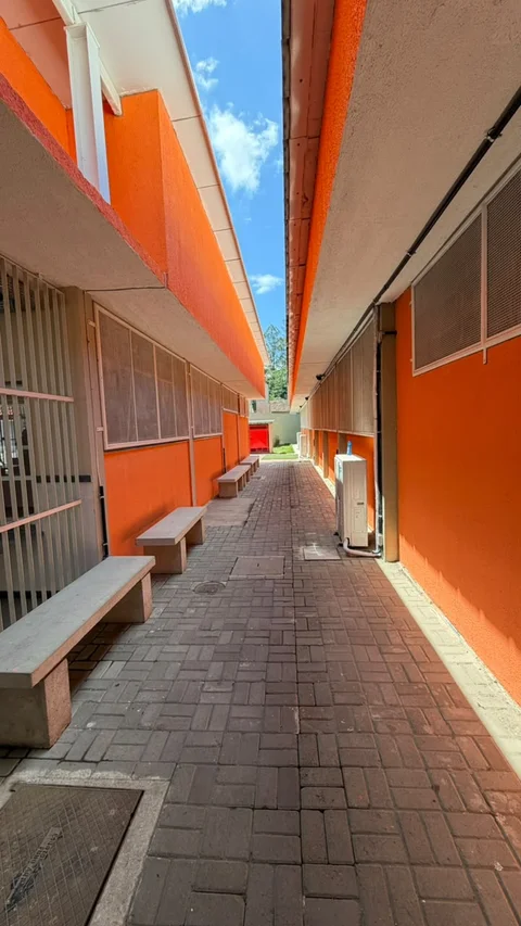 Obra Judith - foto 15